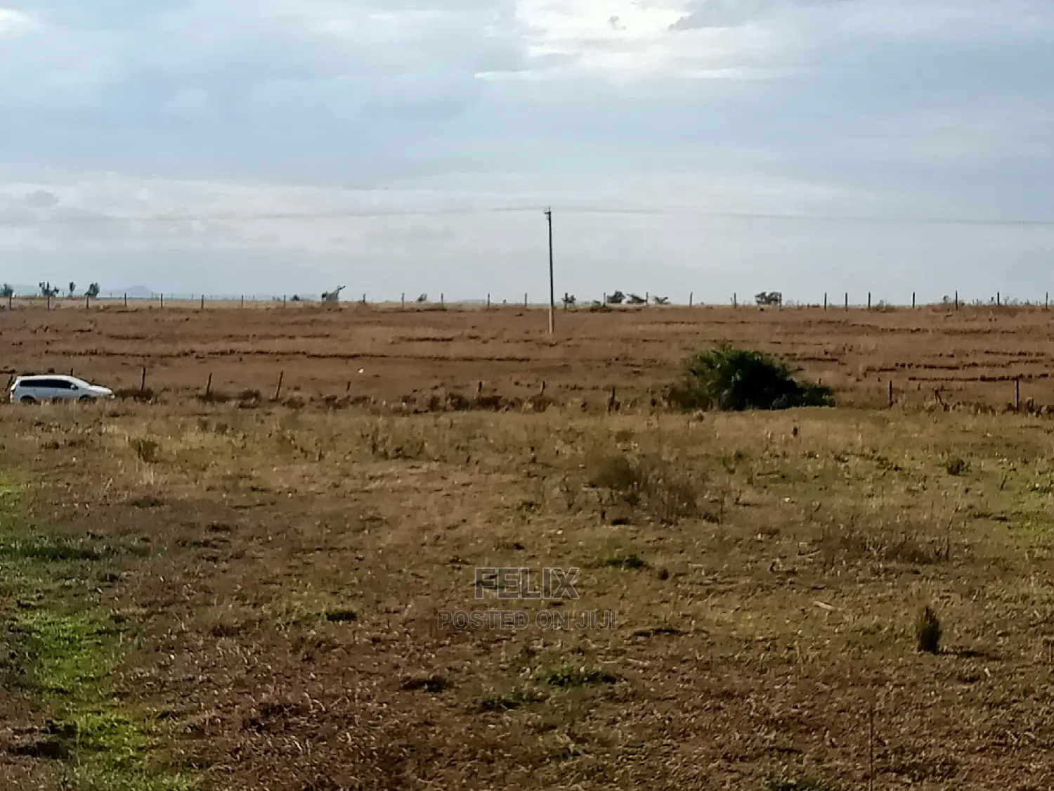 Narumoru Prime Plots in Kieni