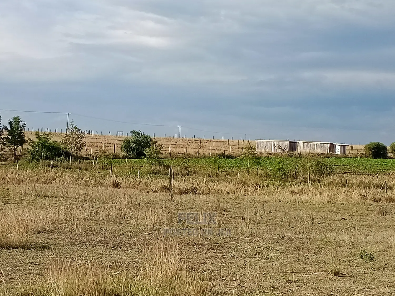 Narumoru Prime Plots in Kieni