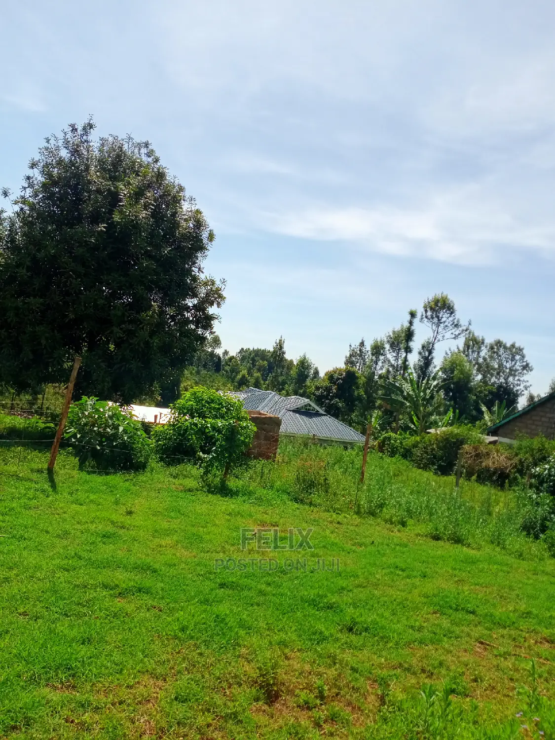 Karatina/50/100 Karindundu in Karatina Town