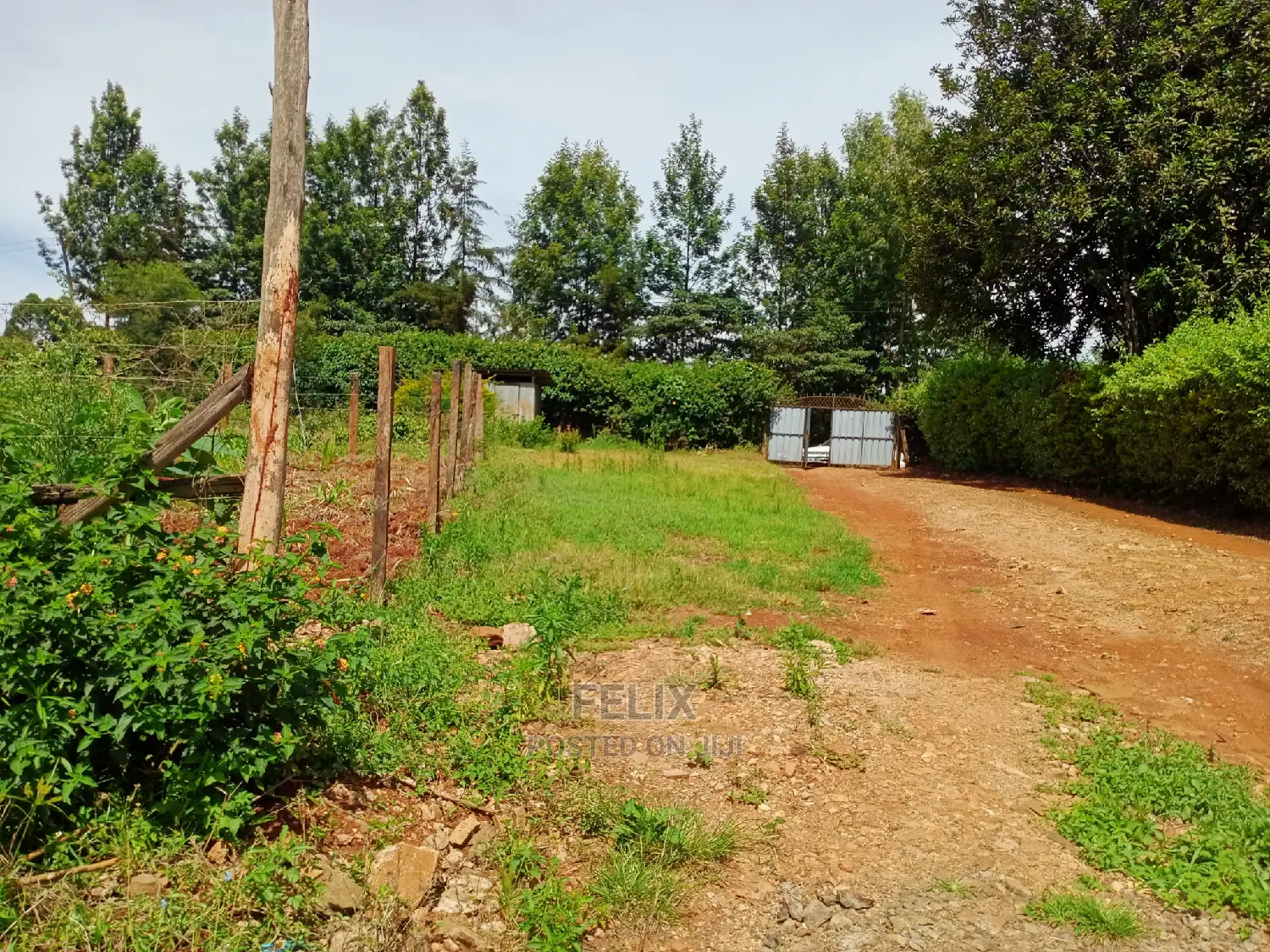 Karatina/50/100 Karindundu in Karatina Town