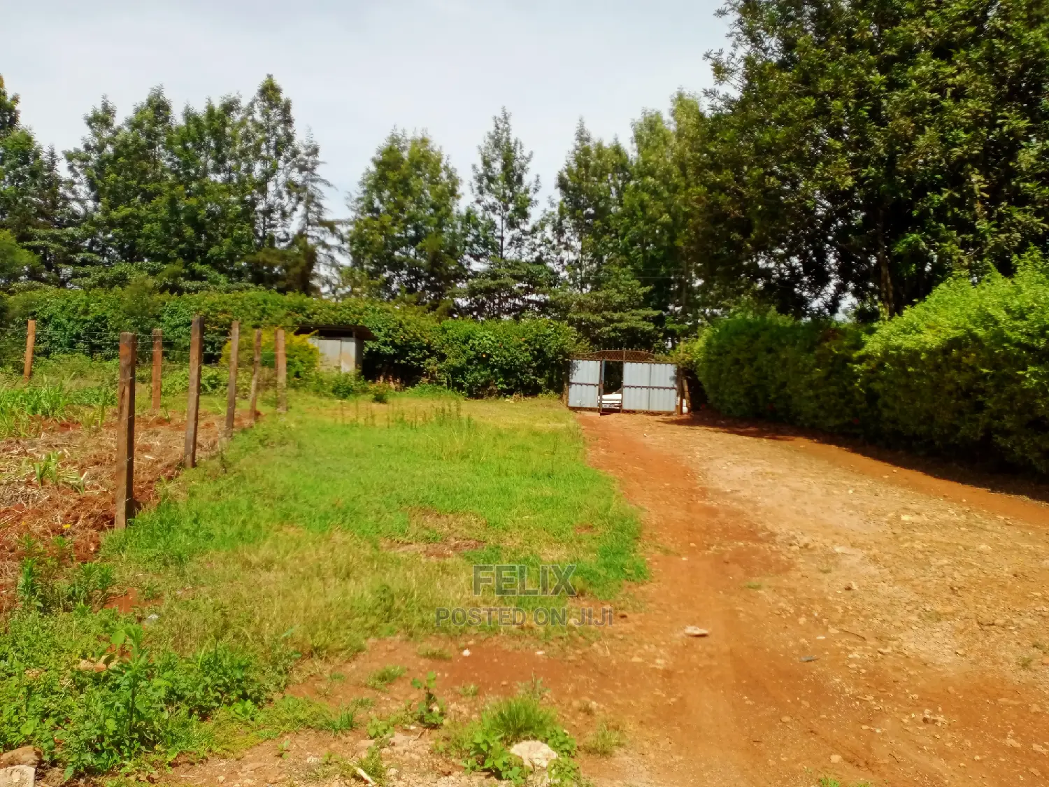 Karatina/50/100 Karindundu in Karatina Town