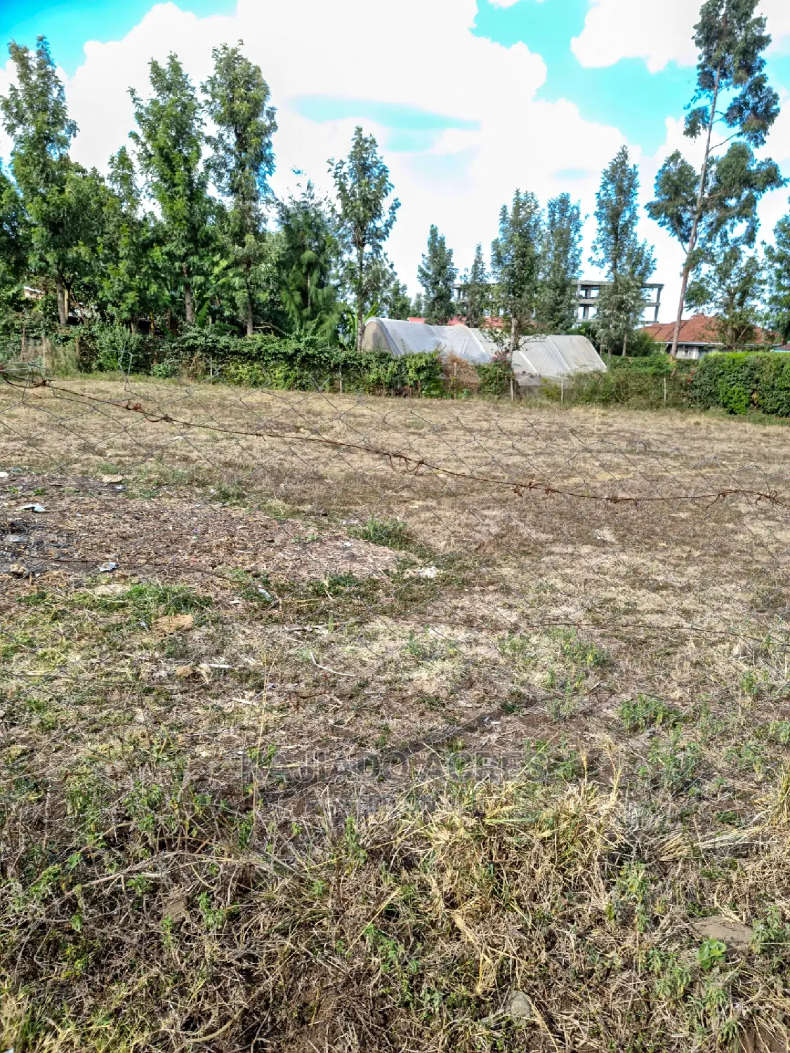 Affordable 1/4 Acre Land in Ololua for 7 Million - Perfect Investment Opportunity! in Oluulua