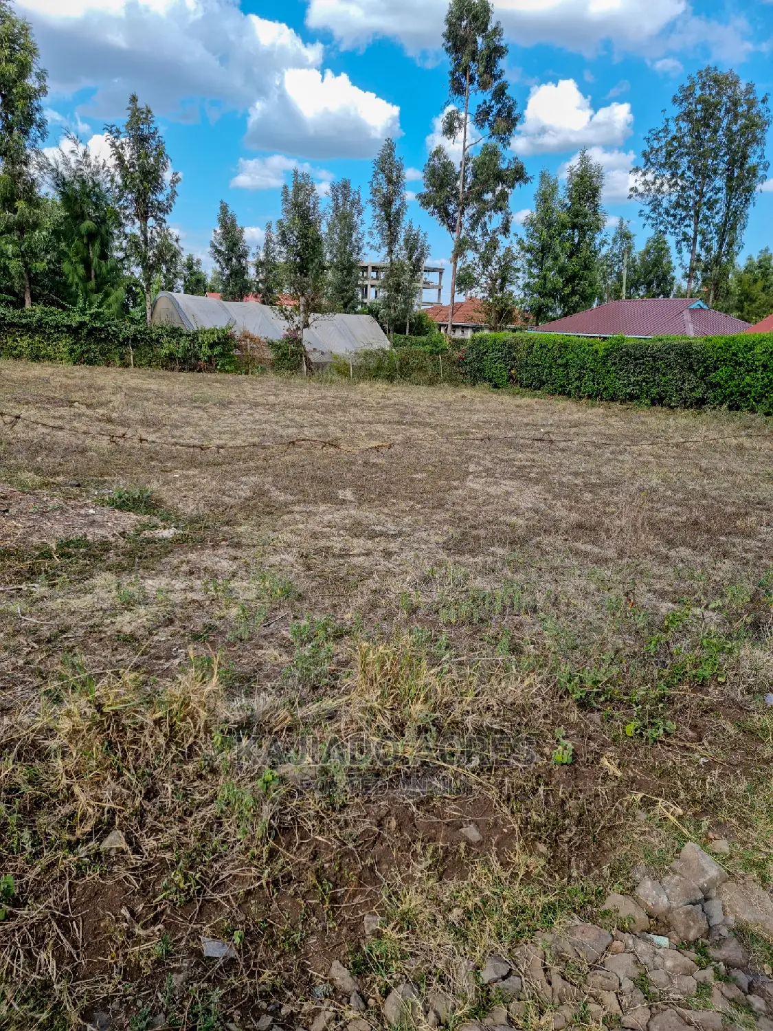 Affordable 1/4 Acre Land in Ololua for 7 Million - Perfect Investment Opportunity! in Oluulua