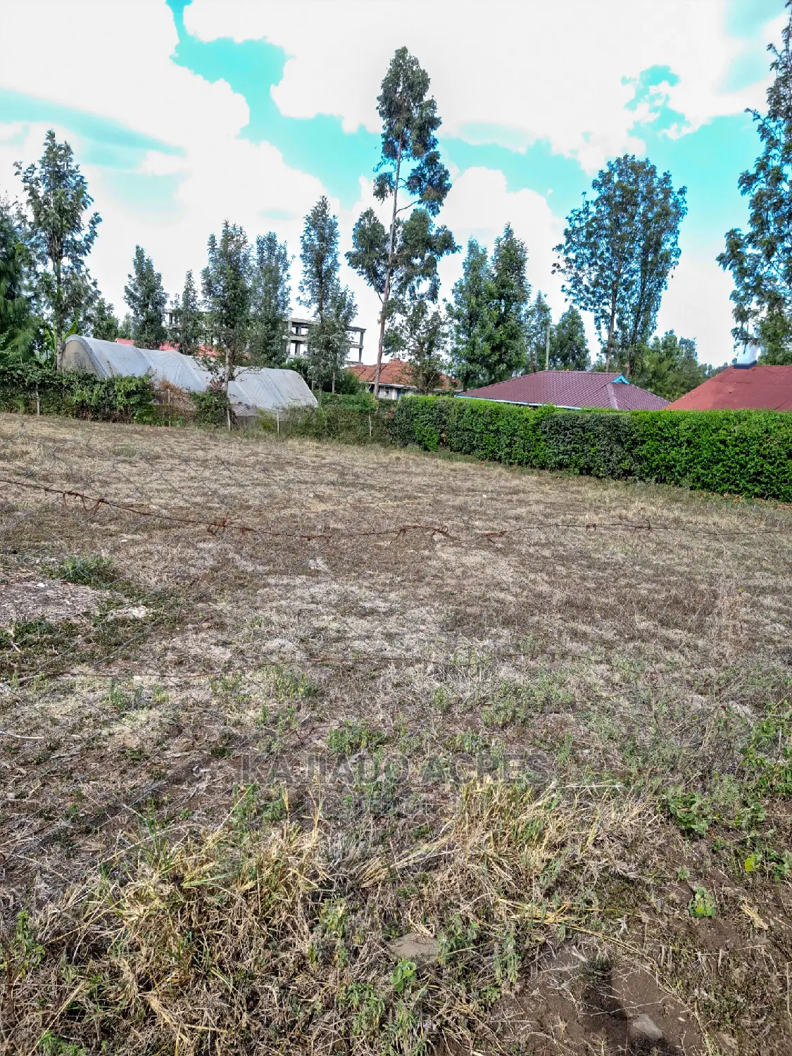 Affordable 1/4 Acre Land in Ololua for 7 Million - Perfect Investment Opportunity! in Oluulua
