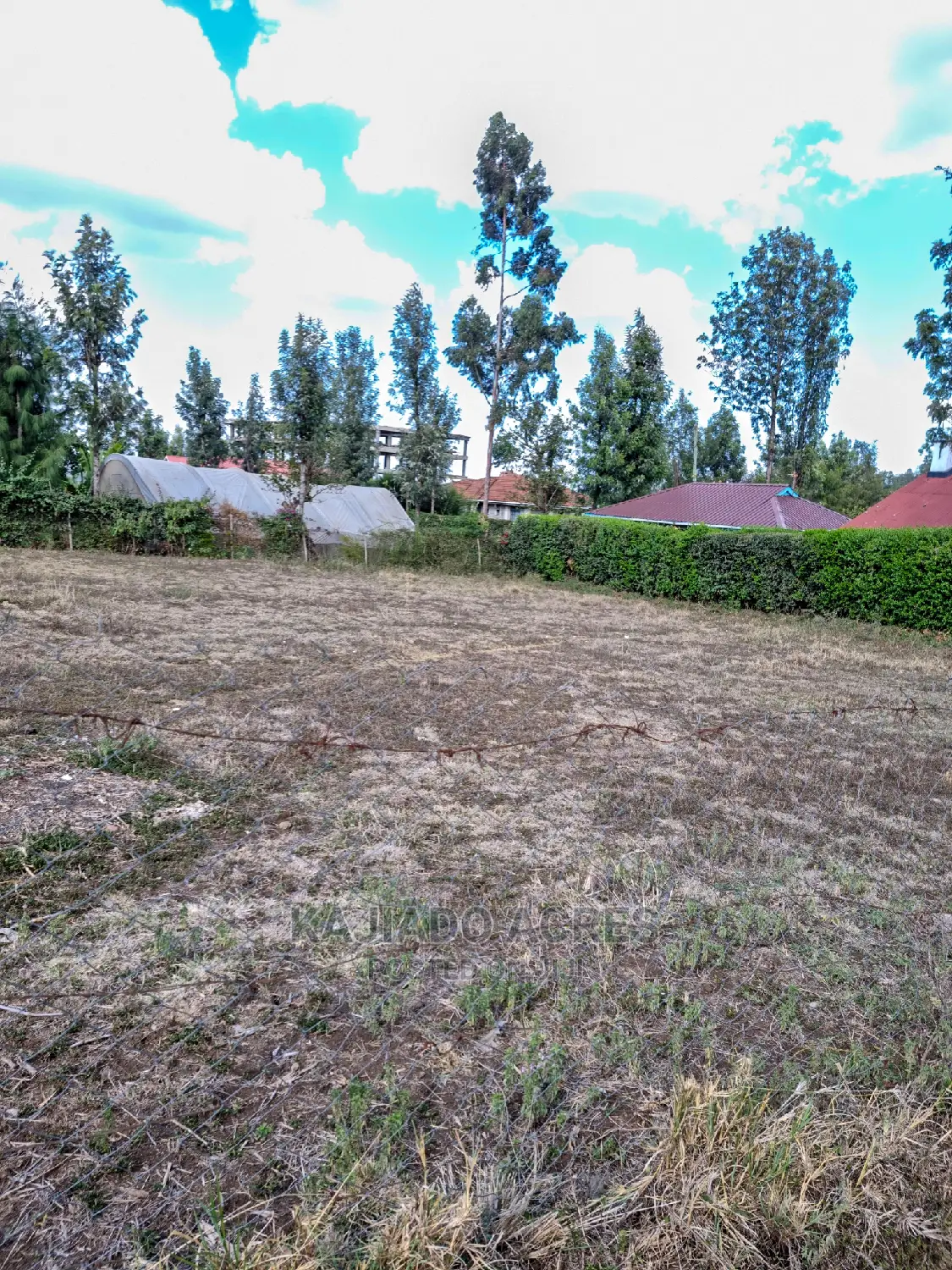 Affordable 1/4 Acre Land in Ololua for 7 Million - Perfect Investment Opportunity! in Oluulua