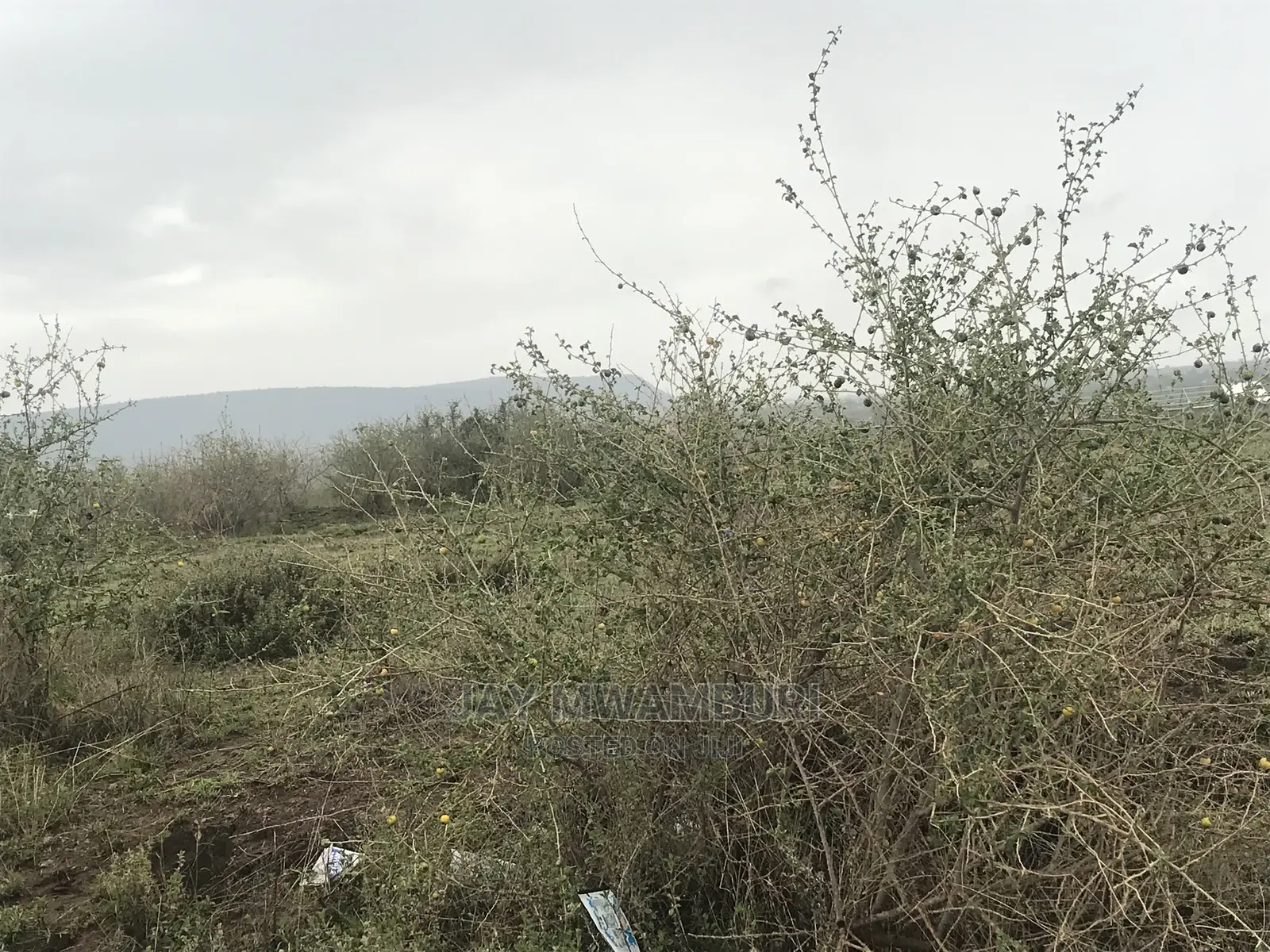 10 Acres’S Top Tank Arthi River in Lukenya