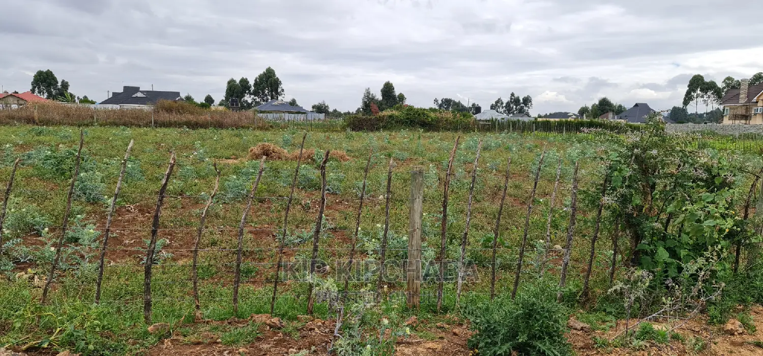 Invest in Prime Commercial Land: Chepkoilel Eldoret 1/4 Plot for Sale in Kimumu