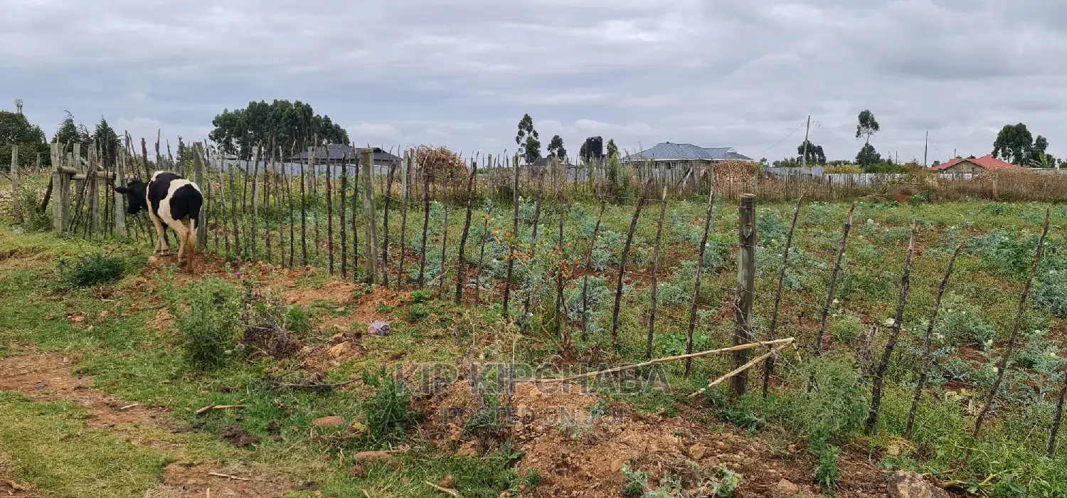 Invest in Prime Commercial Land: Chepkoilel Eldoret 1/4 Plot for Sale in Kimumu