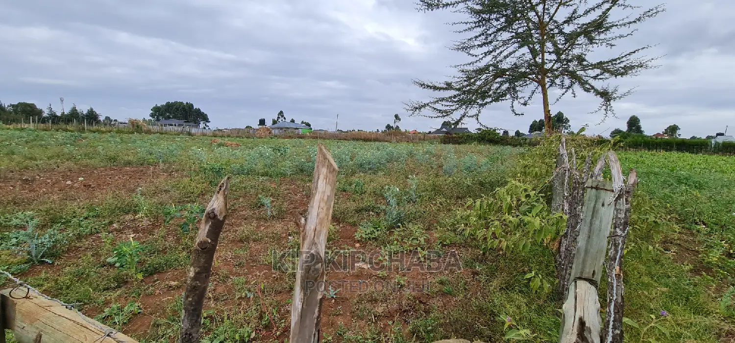 Invest in Prime Commercial Land: Chepkoilel Eldoret 1/4 Plot for Sale in Kimumu