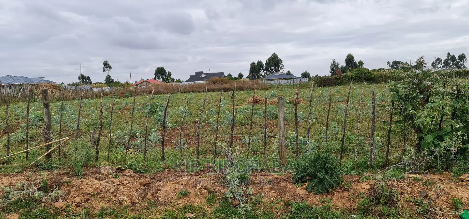 Invest in Prime Commercial Land: Chepkoilel Eldoret 1/4 Plot for Sale in Kimumu