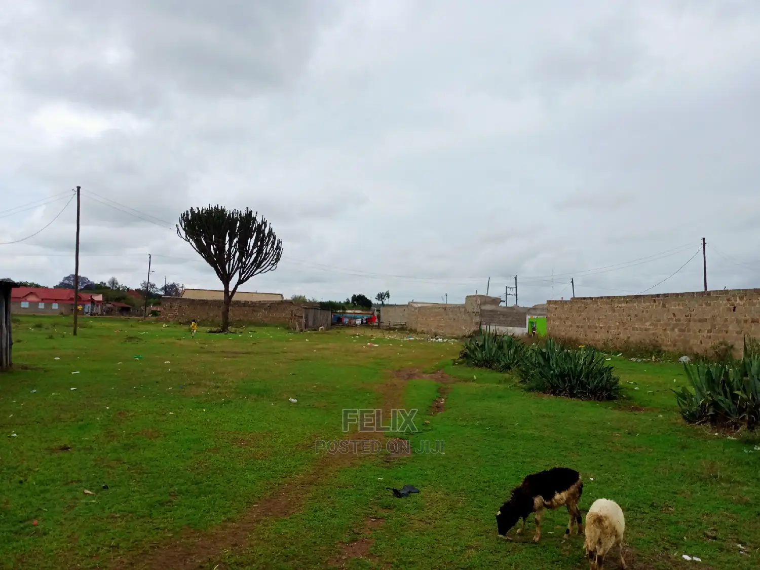 Chaka Town 50/100 Prime Plots in Kieni