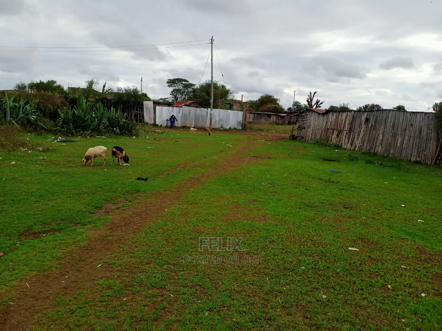 Chaka Town 50/100 Prime Plots in Kieni