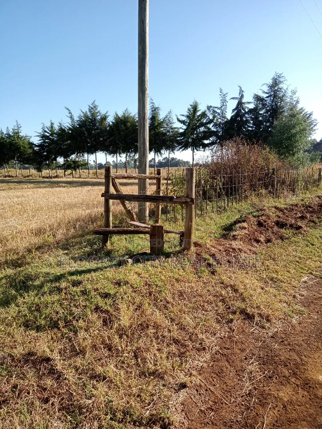 Marura Chemaluk: Unique 1/4 & 1/8 Plots For Sale in Moiben