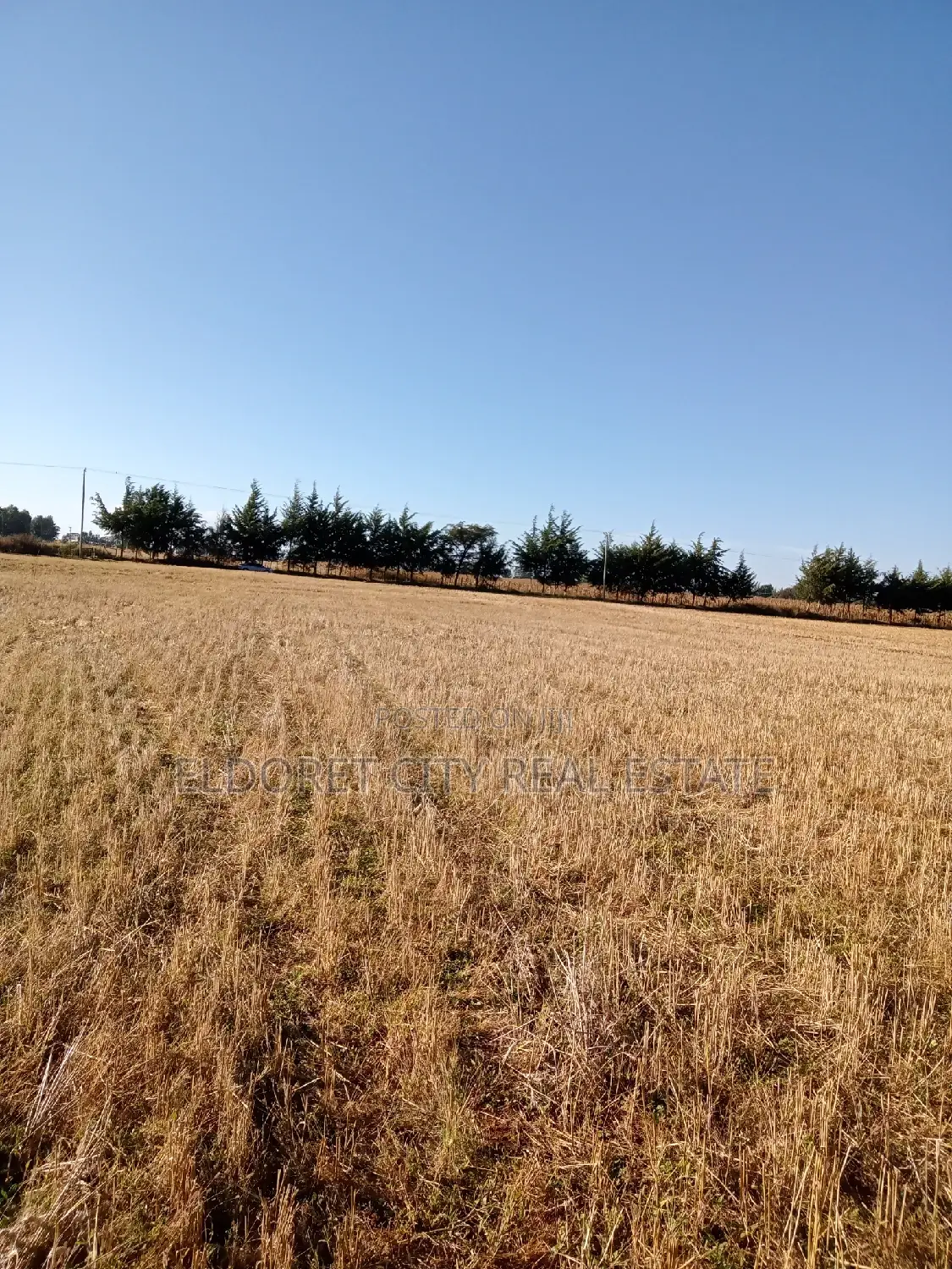 Marura Chemaluk: Unique 1/4 & 1/8 Plots For Sale in Moiben