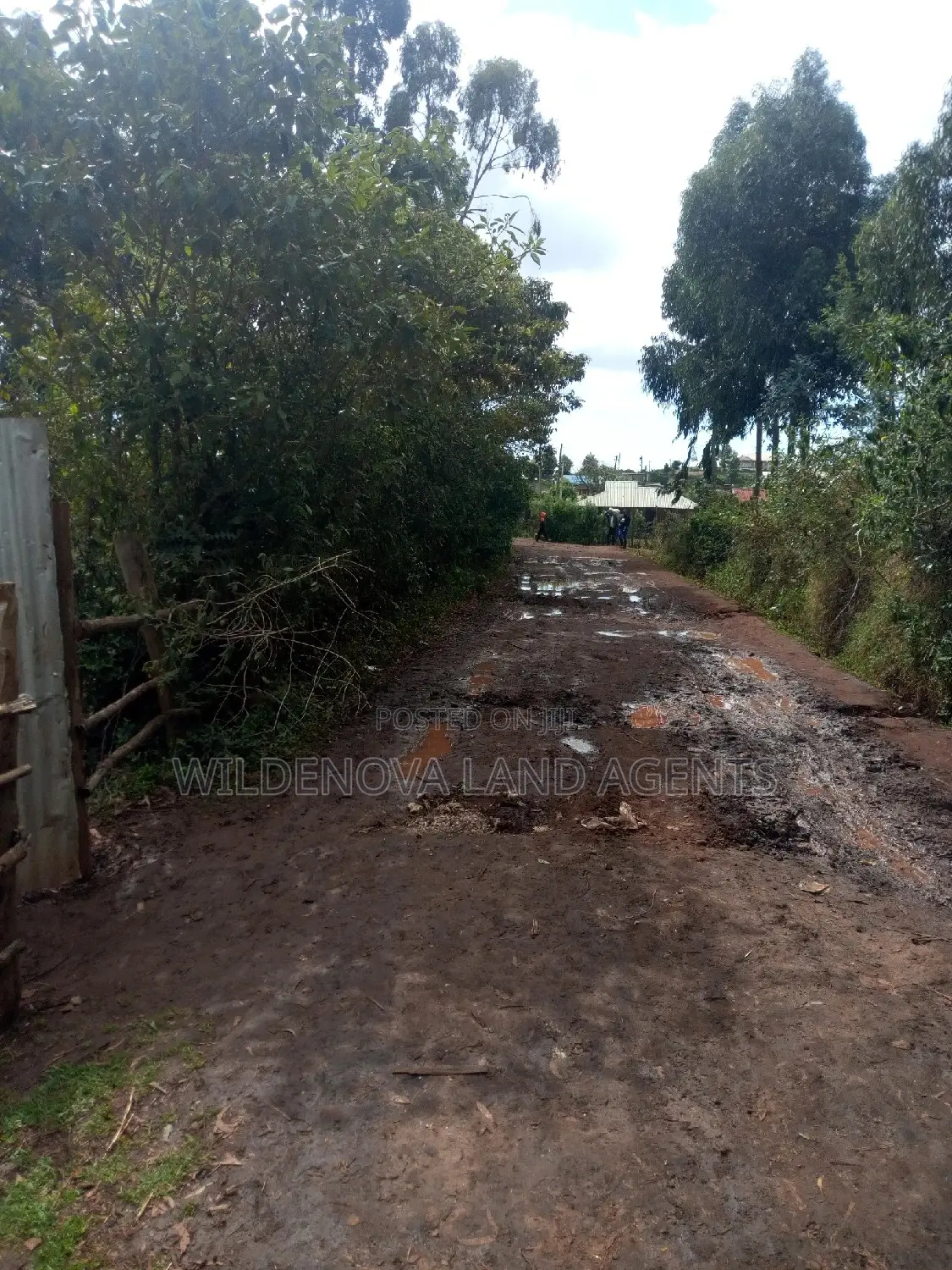 Spacious 100*100 Plot for Sale in Kamirithu Limuru - Ideal Investment Opportunity! in Limuru