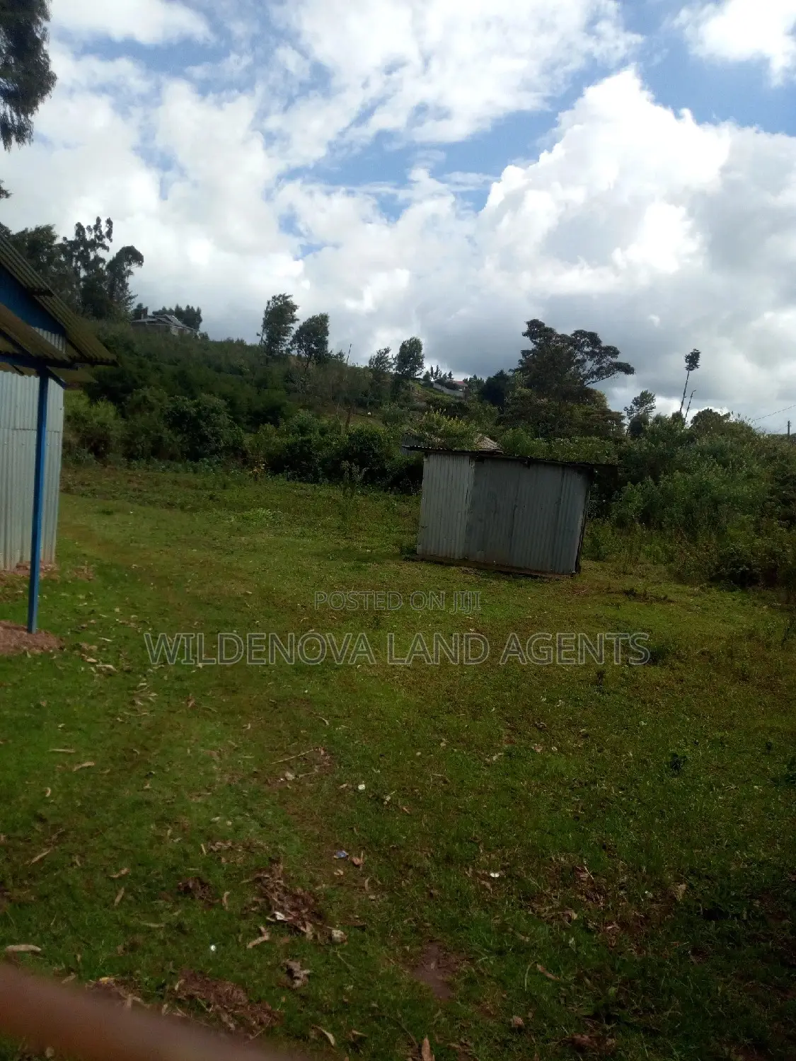 Spacious 100*100 Plot for Sale in Kamirithu Limuru - Ideal Investment Opportunity! in Limuru