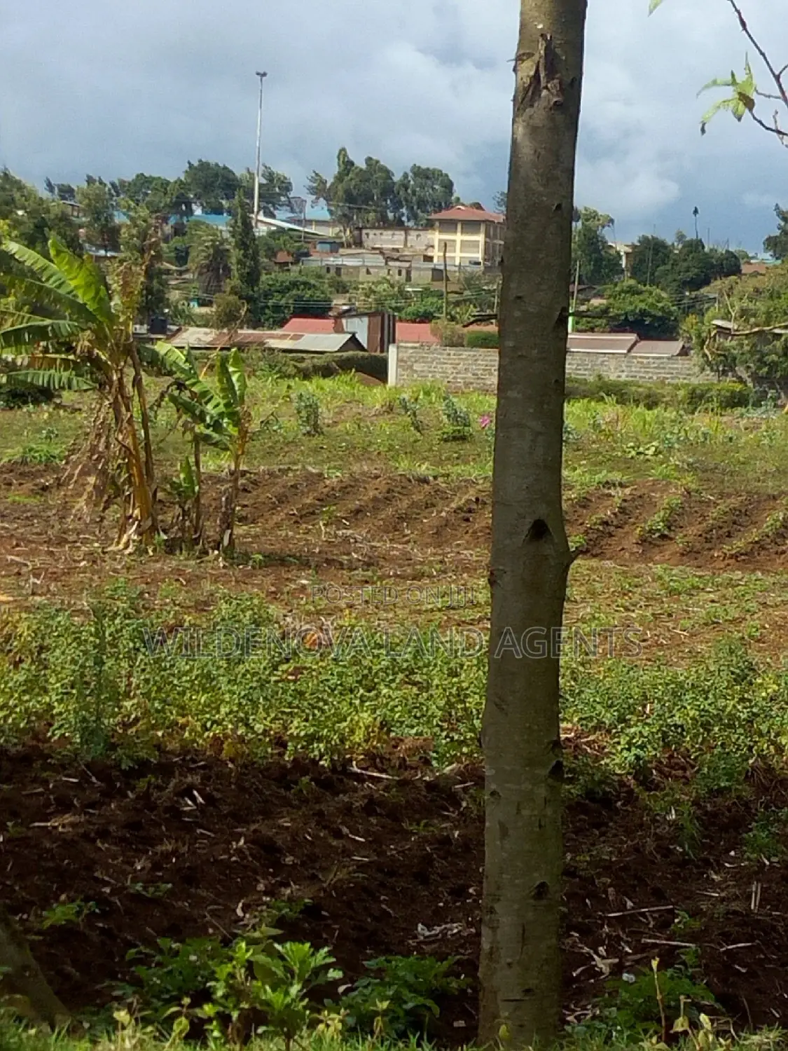 Spacious 100*100 Plot for Sale in Kamirithu Limuru - Ideal Investment Opportunity! in Limuru