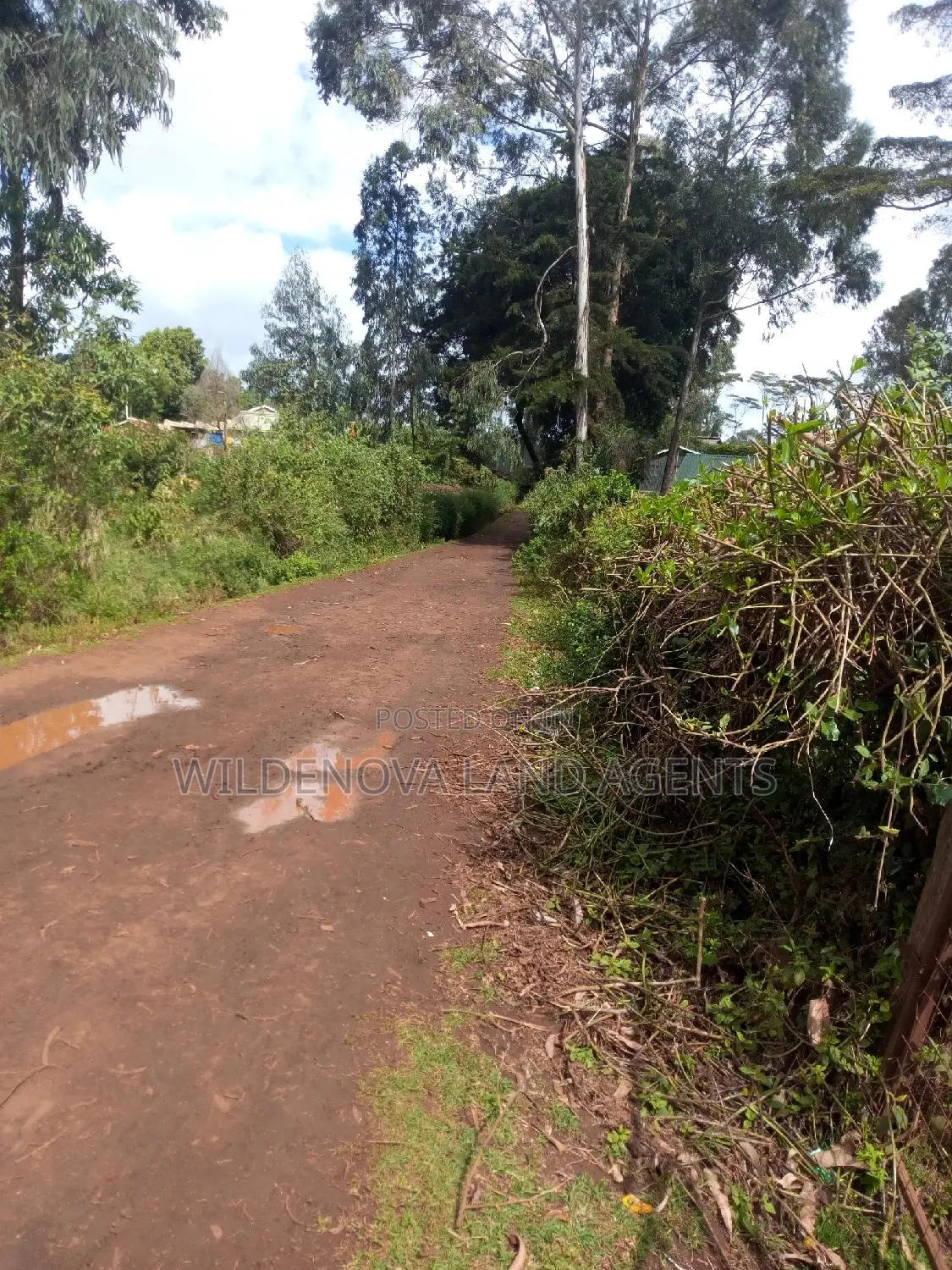 Spacious 100*100 Plot for Sale in Kamirithu Limuru - Ideal Investment Opportunity! in Limuru