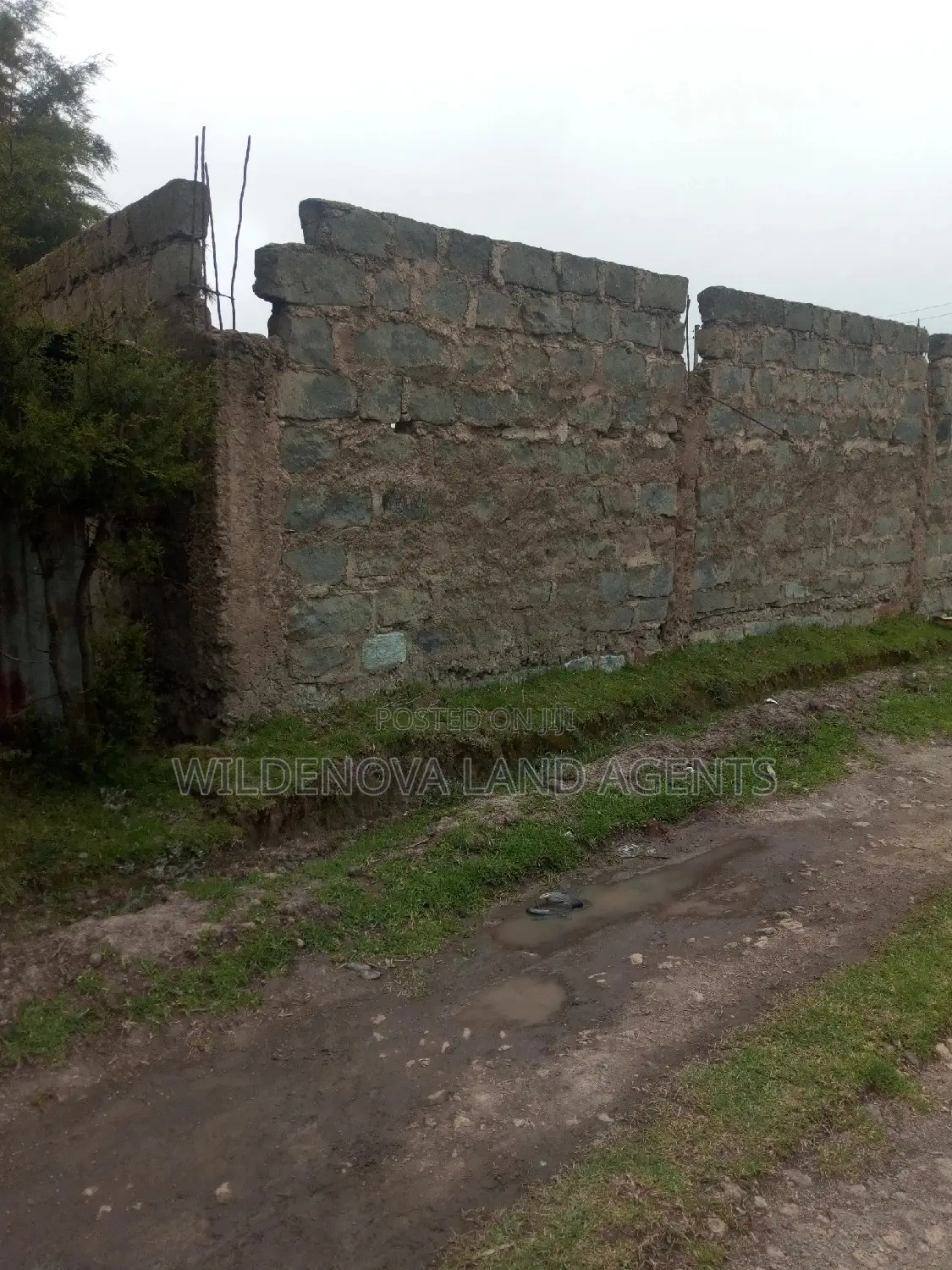 Kinangop Mtonyora: Discover Two Variants of 50*100 on Sale in Magumu