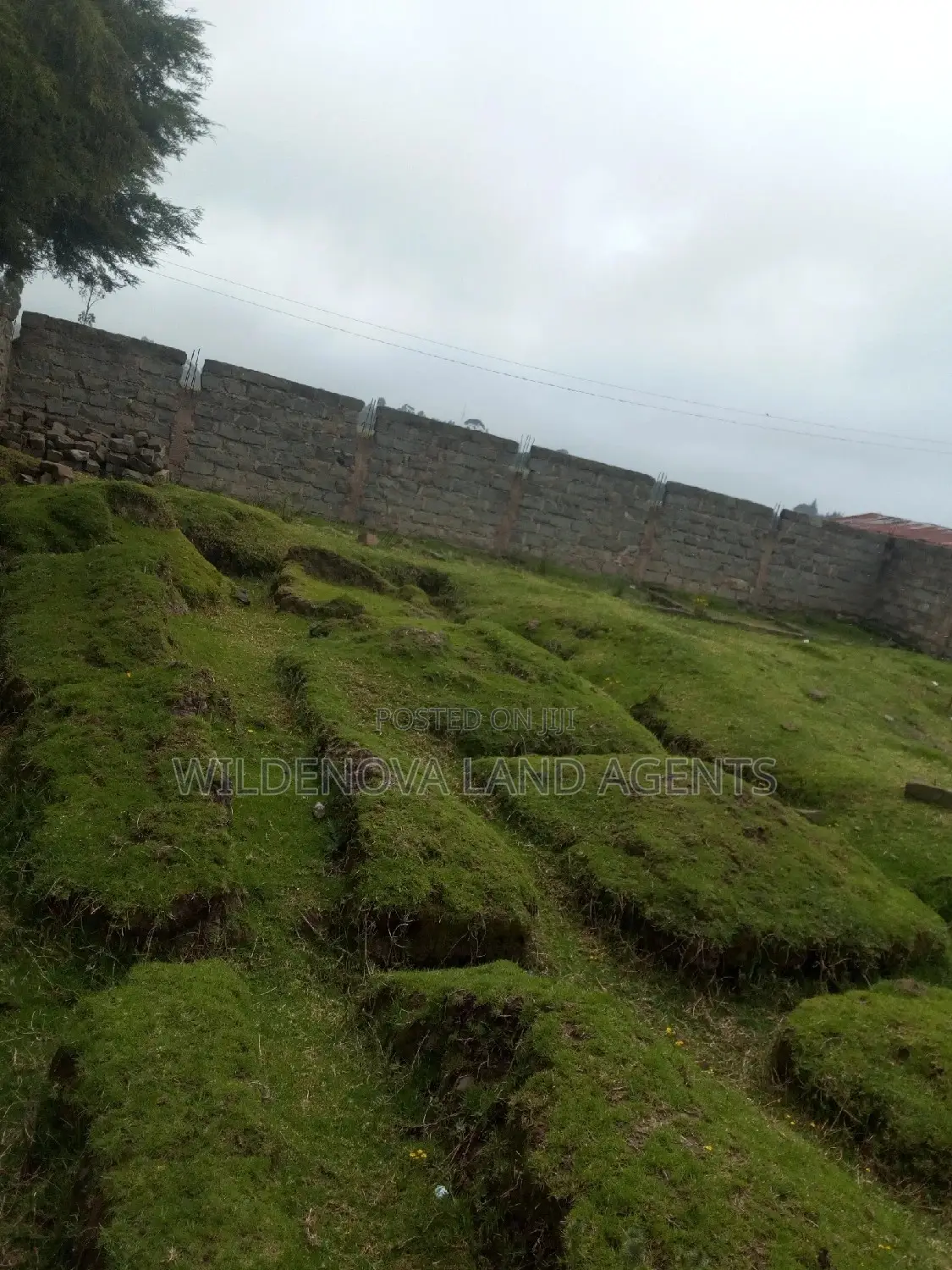 Kinangop Mtonyora: Discover Two Variants of 50*100 on Sale in Magumu