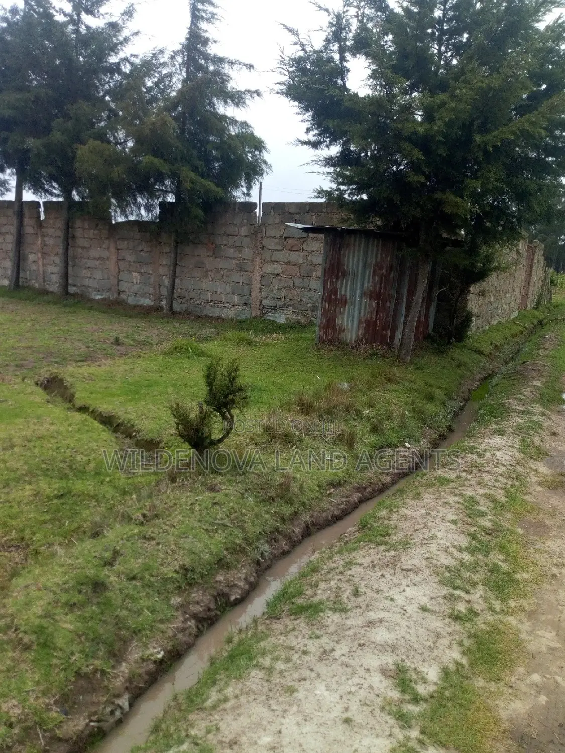 Kinangop Mtonyora: Discover Two Variants of 50*100 on Sale in Magumu