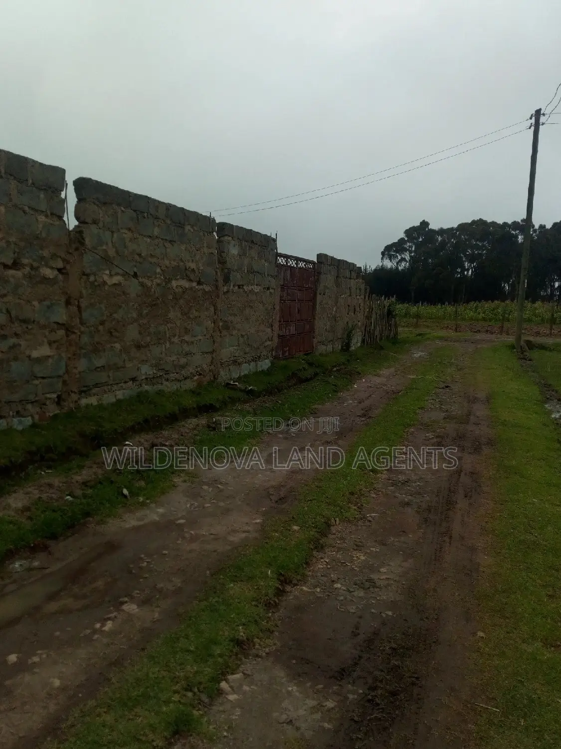 Kinangop Mtonyora: Discover Two Variants of 50*100 on Sale in Magumu