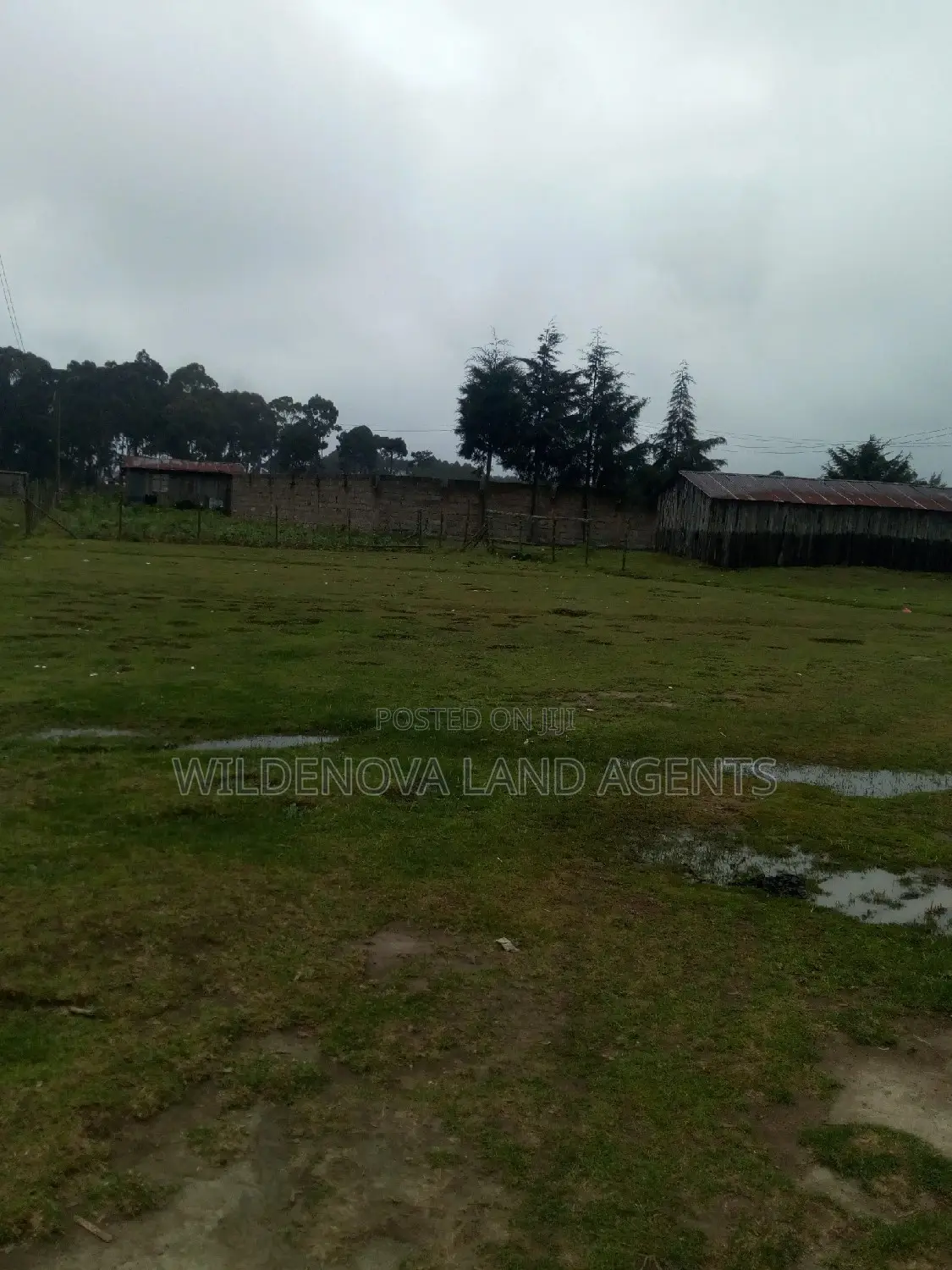 Kinangop Mtonyora: Discover Two Variants of 50*100 on Sale in Magumu