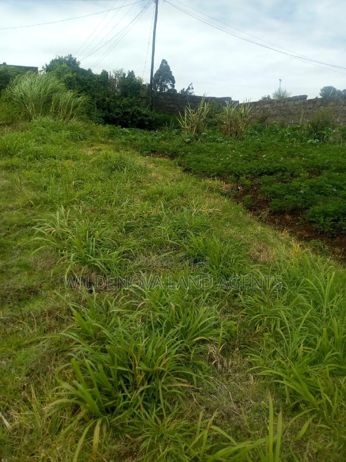 2 Acres of Land in Kimende, Kiambu - Perfect Opportunity for Investment! in Lari/Kirenga