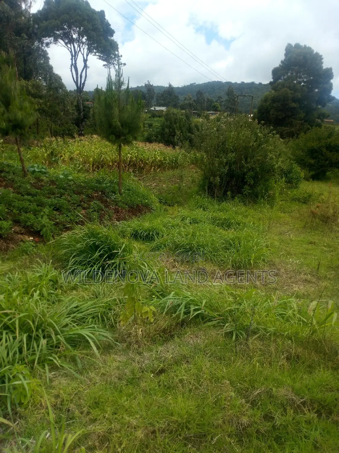 2 Acres of Land in Kimende, Kiambu - Perfect Opportunity for Investment! in Lari/Kirenga