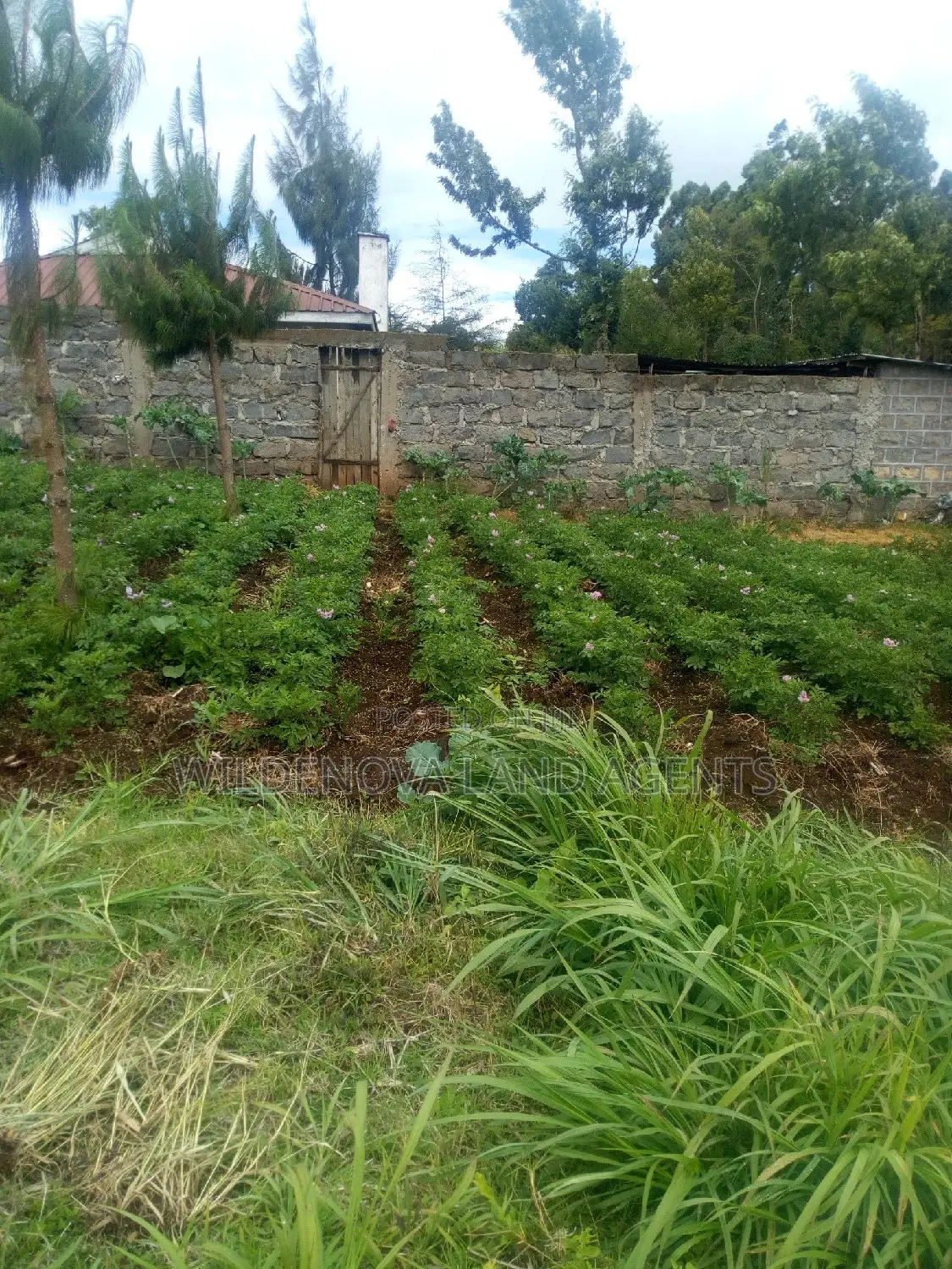 2 Acres of Land in Kimende, Kiambu - Perfect Opportunity for Investment! in Lari/Kirenga