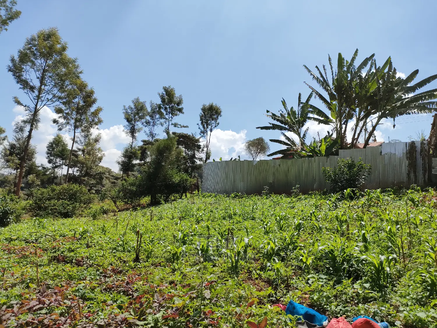 Nyeri/Majengo Residential House on Sale in Nyeri Town
