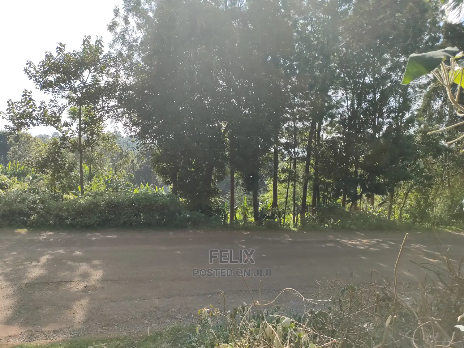 Karatina/Kiamachimbi Half Acre Touching Tarmac in Karatina Town