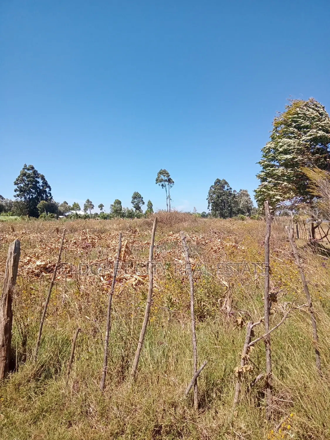 Invest in a 1/8 Plot by Ilula Center - Limited Time Offer! in Moiben