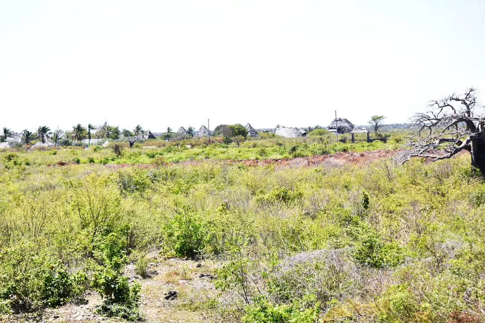 Prime Watamu Beach Plot Available for Purchase in Watamu