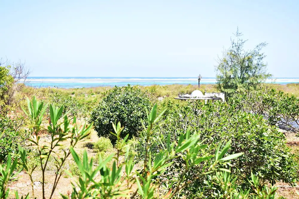 Prime Watamu Beach Plot Available for Purchase in Watamu