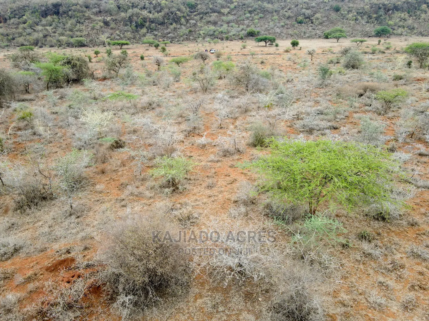 Prestigious 45-Acre Saikeri Land Opportunity at $850k per Acre in Olkeri