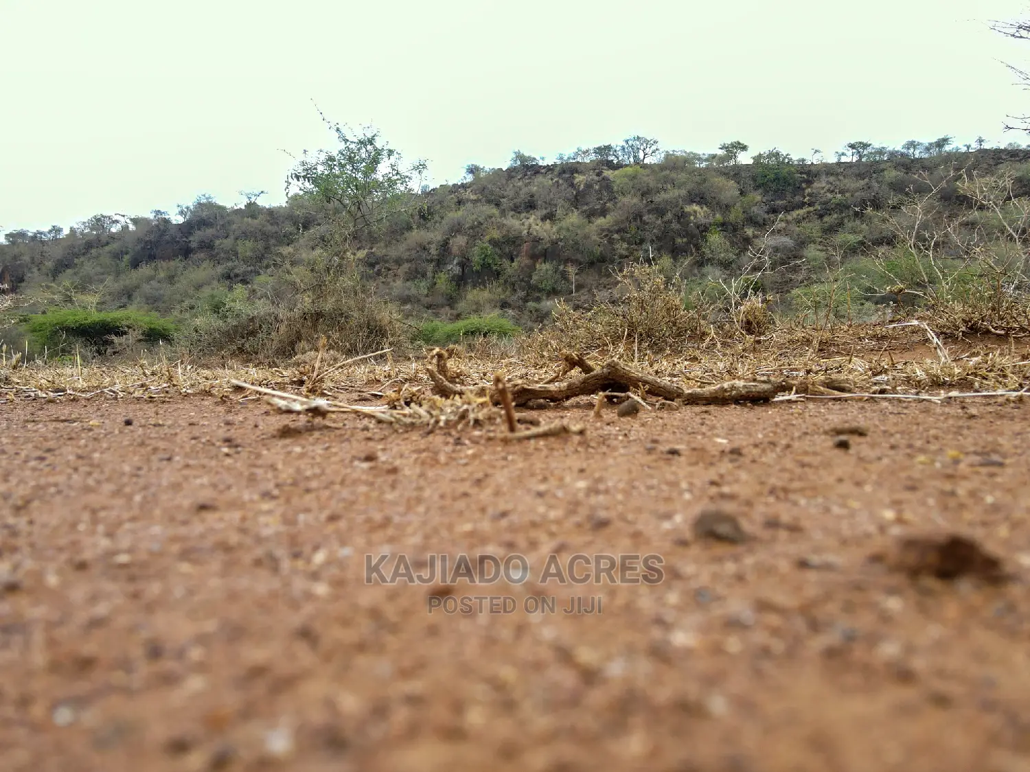 Prestigious 45-Acre Saikeri Land Opportunity at $850k per Acre in Olkeri
