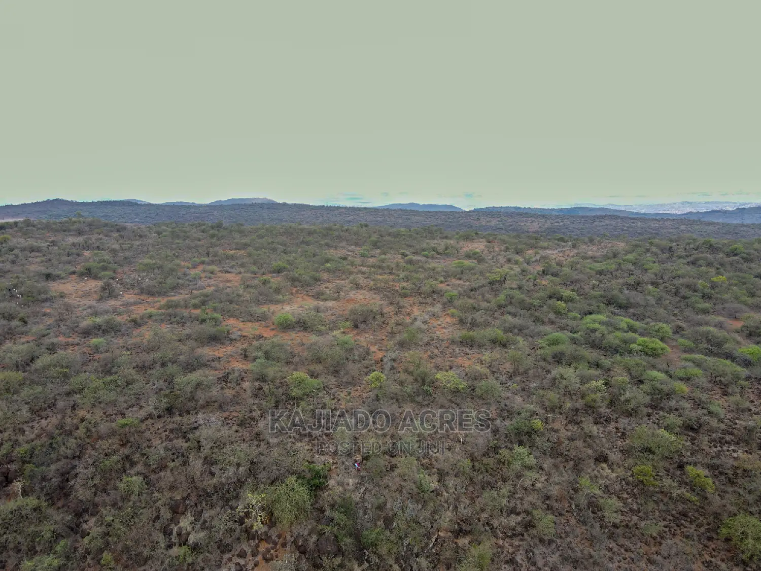 Prestigious 45-Acre Saikeri Land Opportunity at $850k per Acre in Olkeri