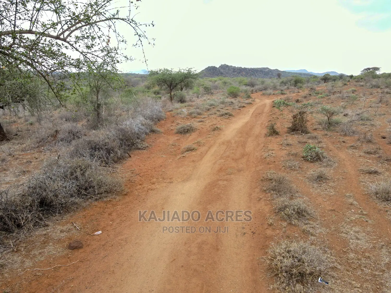 Prestigious 45-Acre Saikeri Land Opportunity at $850k per Acre in Olkeri
