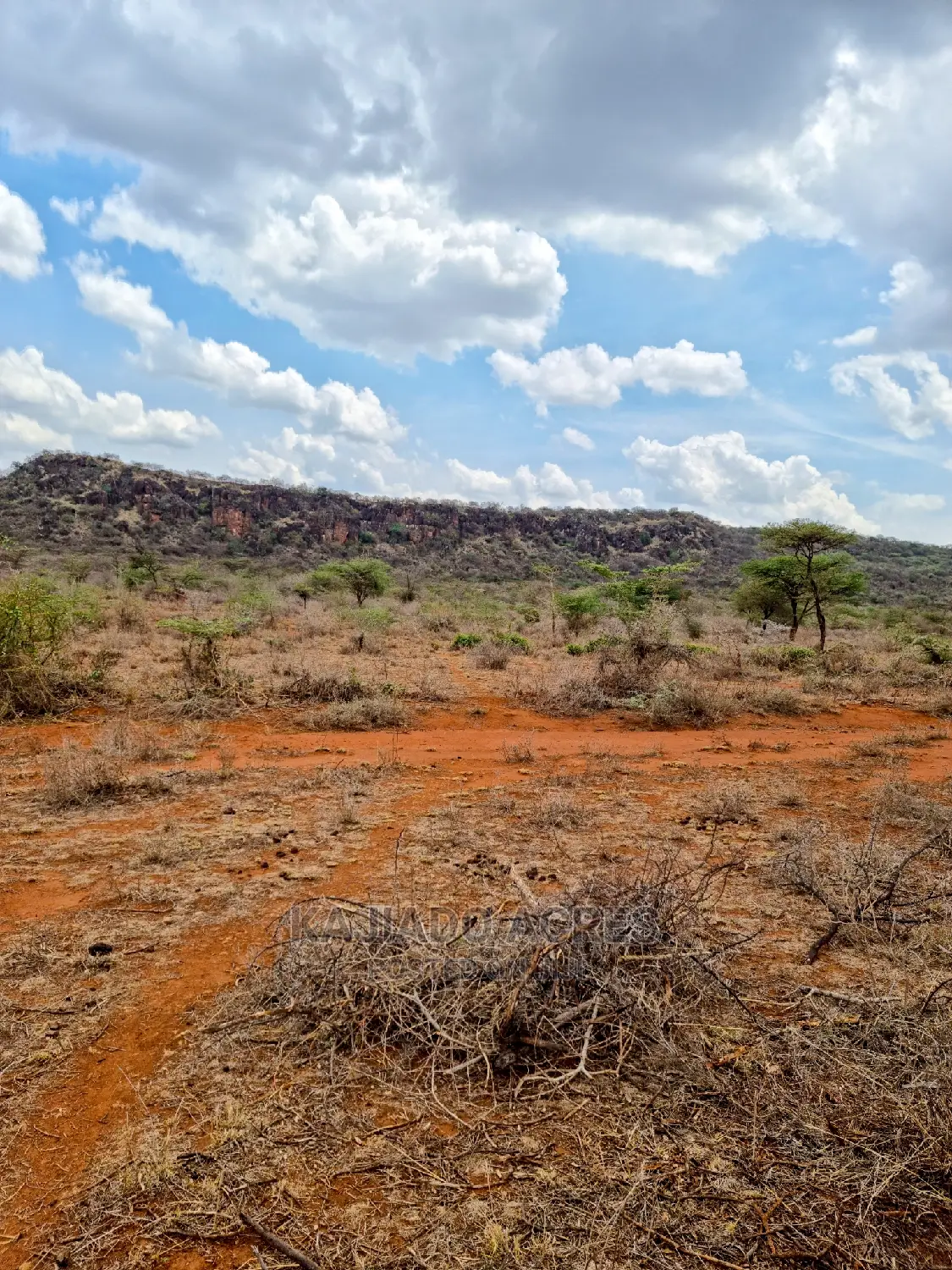 Luxury 12-Acre Saikeri Property for Sale at $800k Per Acre in Kisaju