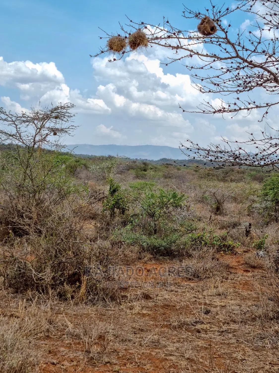 Luxury 12-Acre Saikeri Property for Sale at $800k Per Acre in Kisaju