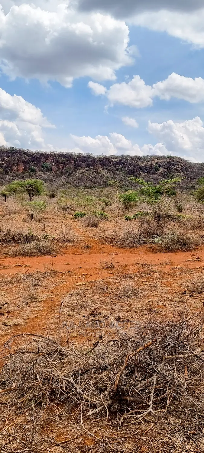 Luxury 12-Acre Saikeri Property for Sale at $800k Per Acre in Kisaju
