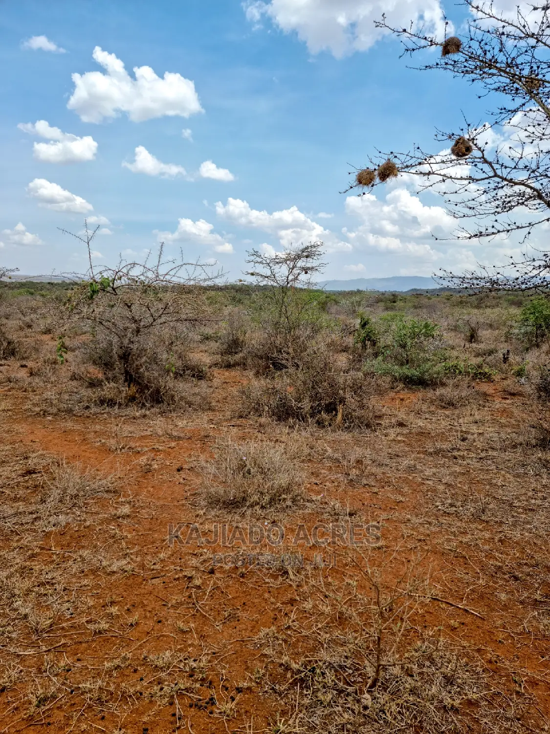Luxury 12-Acre Saikeri Property for Sale at $800k Per Acre in Kisaju