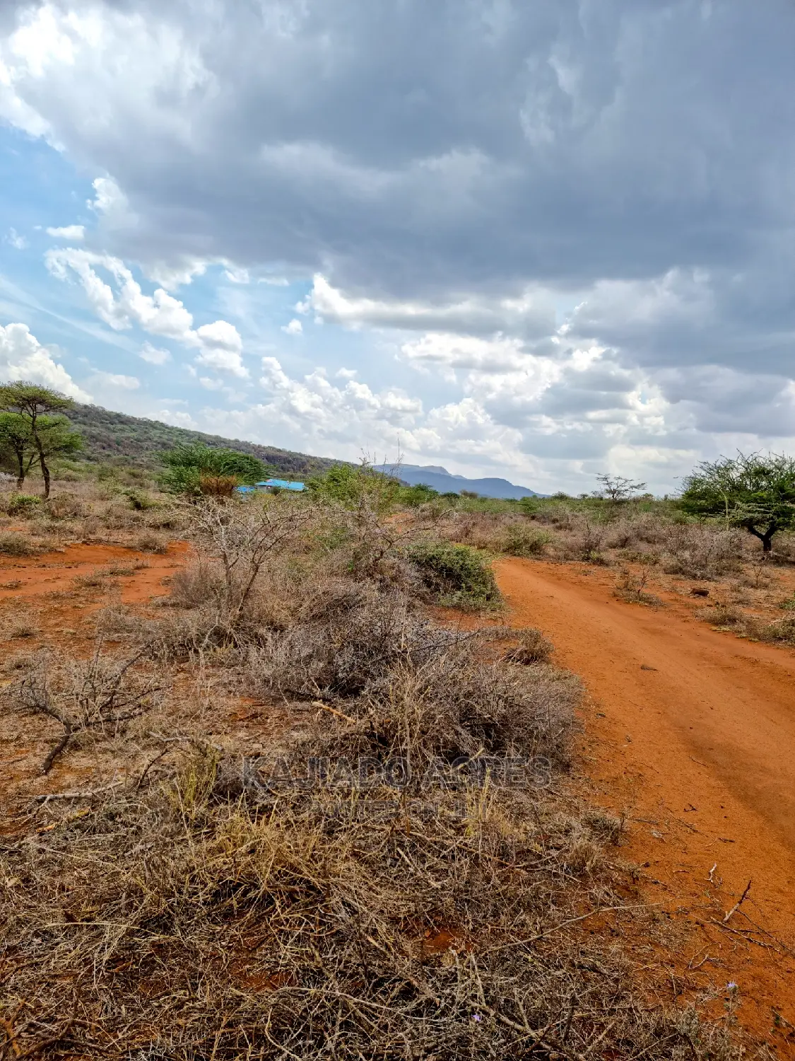 Luxury 12-Acre Saikeri Property for Sale at $800k Per Acre in Kisaju