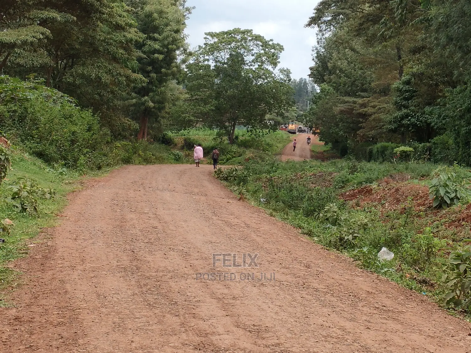 Nyeri /Giakanja 2 Acres in Karatina Town