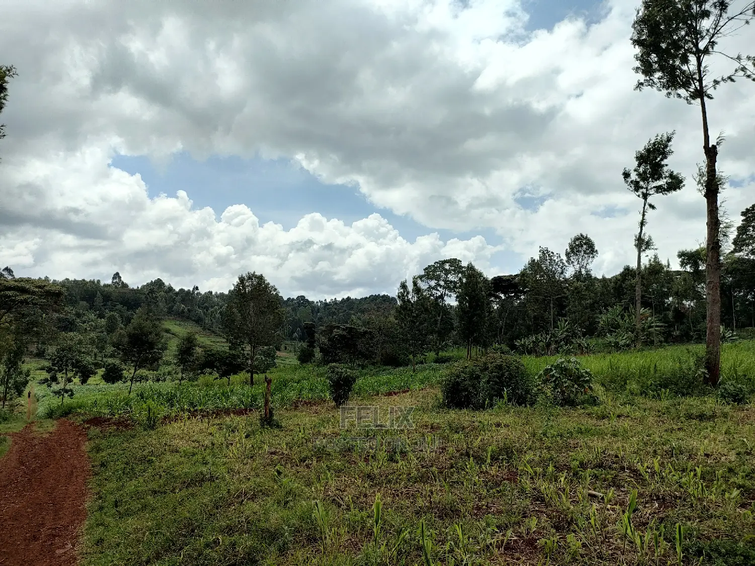 Nyeri /Giakanja 2 Acres in Karatina Town