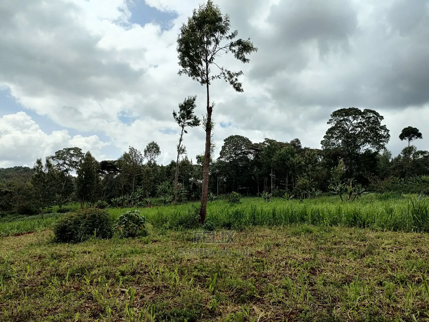 Nyeri /Giakanja 2 Acres in Karatina Town