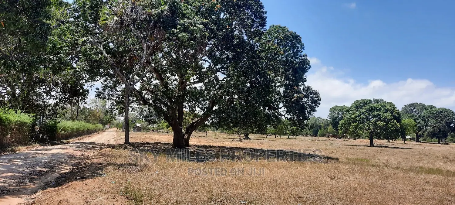 12-Month Financing: Buy Your Dream Plot in Animo Mtwapa (50/100 available) in Mtwapa