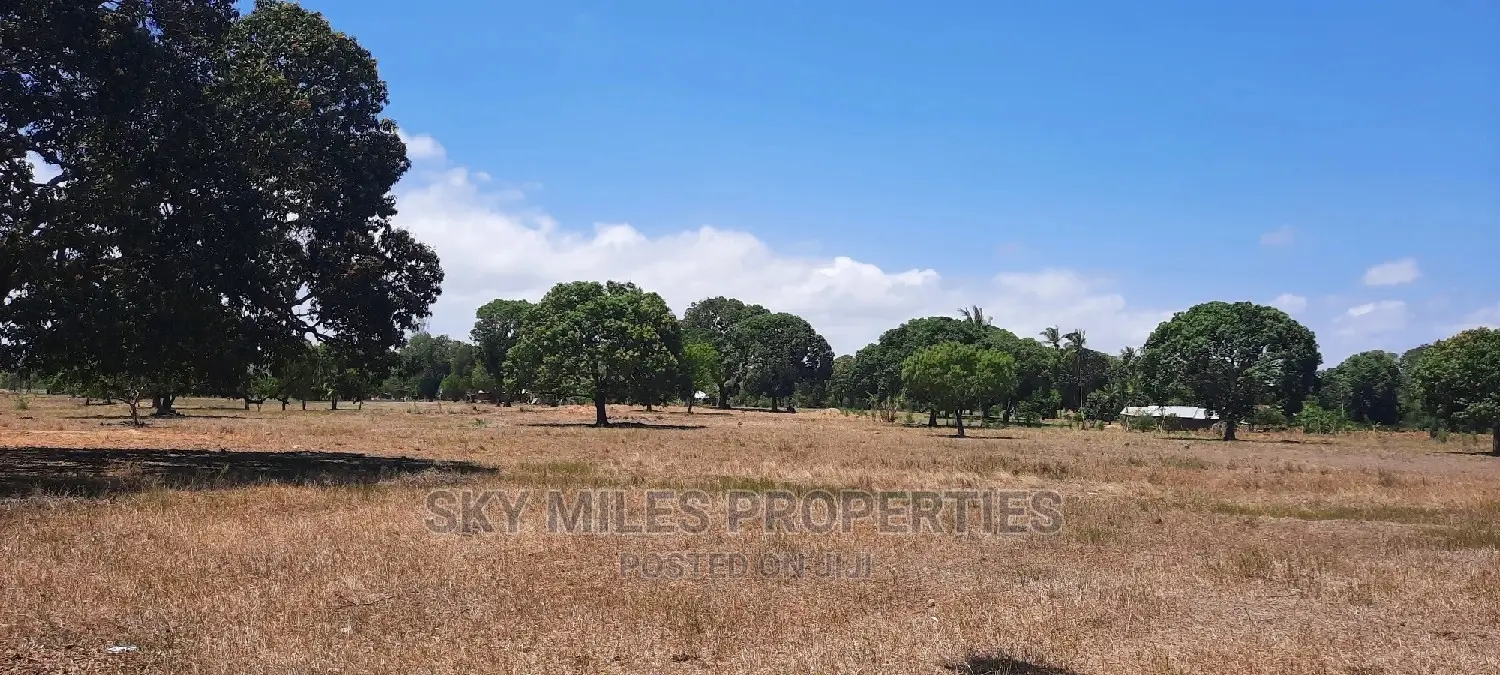 12-Month Financing: Buy Your Dream Plot in Animo Mtwapa (50/100 available) in Mtwapa