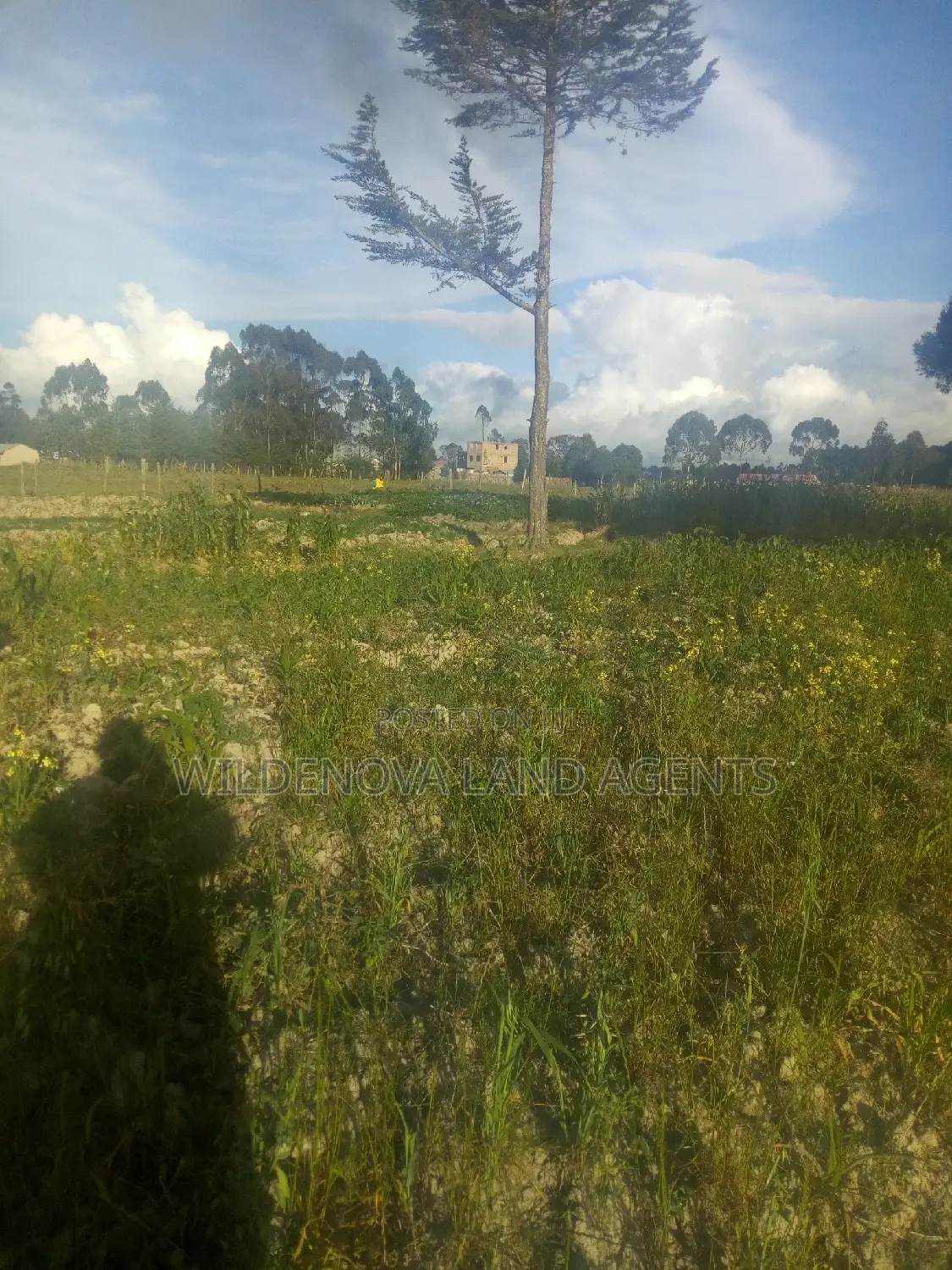 Affordable 1-Acre Land for Sale in South Kinangop in Magumu